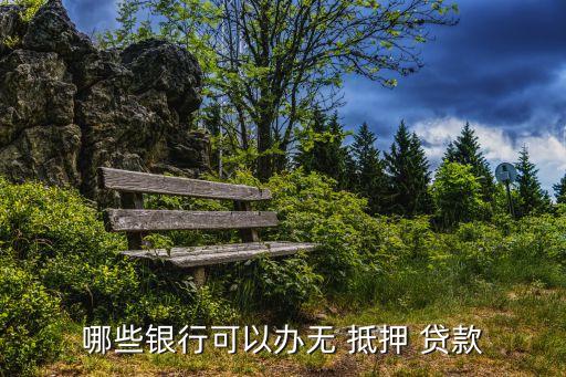 無(wú)抵押信用貸款,一無(wú)所有怎么貸款10萬(wàn)