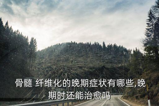  骨髓 纖維化的晚期癥狀有哪些,晚期時還能治愈嗎