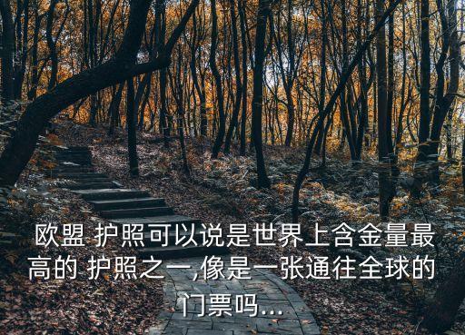 歐盟護(hù)照,葡萄牙歐盟護(hù)照