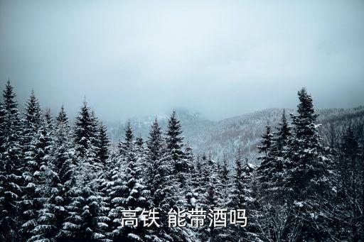  高鐵 能帶酒嗎