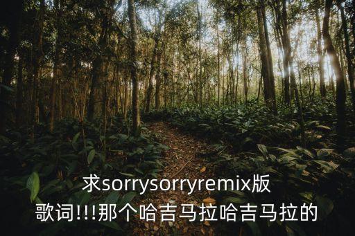 求sorrysorryremix版歌詞!!!那個哈吉馬拉哈吉馬拉的