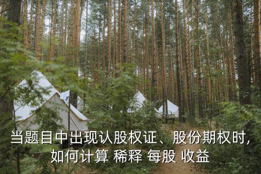 稀釋每股收益,什么叫稀釋每股收益