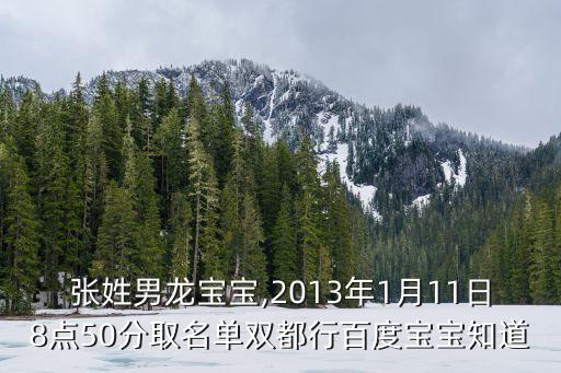 張瑞金