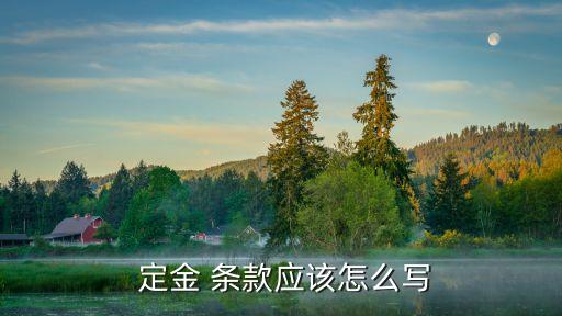 定金的法律條款,定金法律條款 購車 時(shí)間