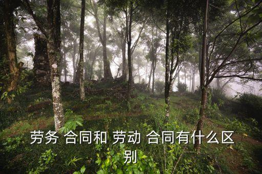 勞務與勞動合同的區(qū)別百度百科,勞務合同糾紛和勞動合同糾紛的區(qū)別