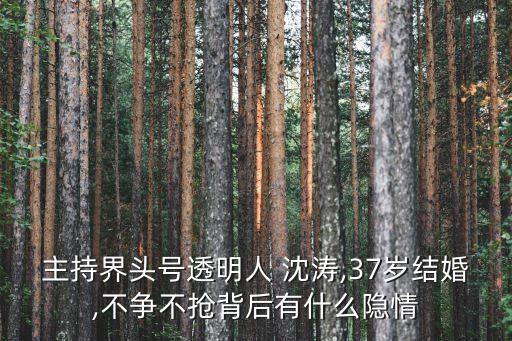 沈濤