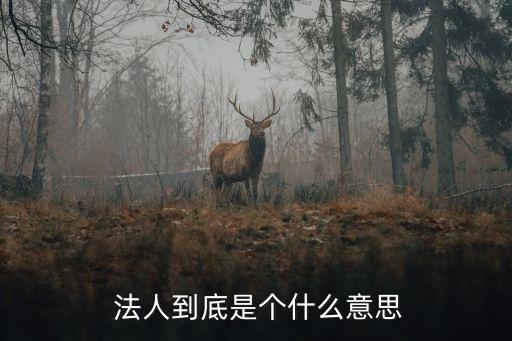  法人到底是個什么意思