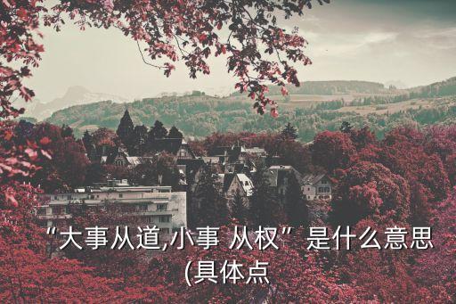 “大事從道,小事 從權(quán)”是什么意思(具體點