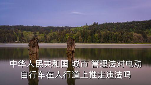 中華人民共和國(guó) 城市 管理法對(duì)電動(dòng)自行車在人行道上推走違法嗎