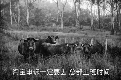 淘寶總部