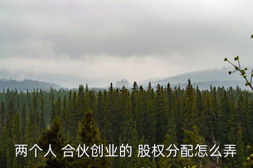 兩個人 合伙創(chuàng)業(yè)的 股權(quán)分配怎么弄