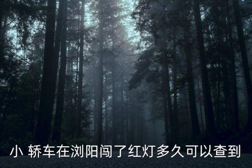 小 轎車在瀏陽闖了紅燈多久可以查到