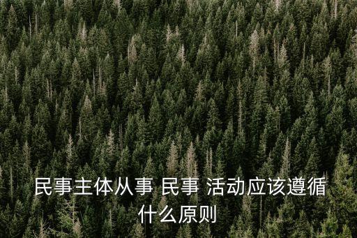  民事主體從事 民事 活動應該遵循什么原則
