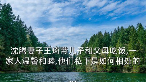 沈騰離婚,張小斐結(jié)婚照片