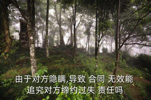 合同無效追究什么責(zé)任,保證合同無效的責(zé)任承擔(dān)