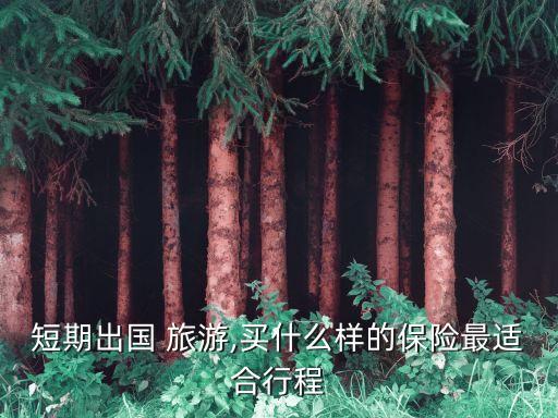 境外旅游保險(xiǎn)買哪個(gè)好,去境外旅游買什么保險(xiǎn)