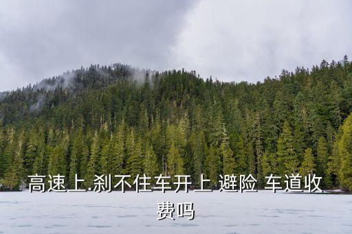 避險(xiǎn)車道