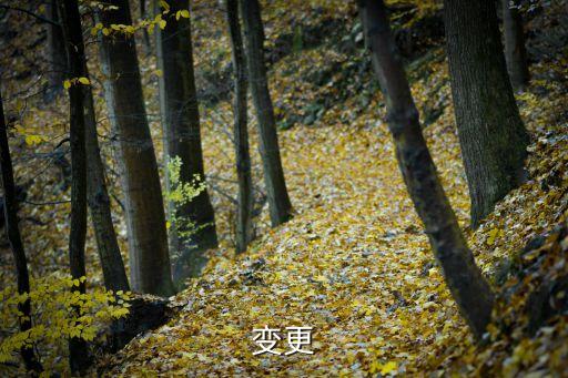 合同變更