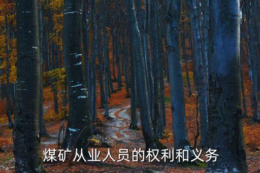  煤礦從業(yè)人員的權(quán)利和義務(wù)