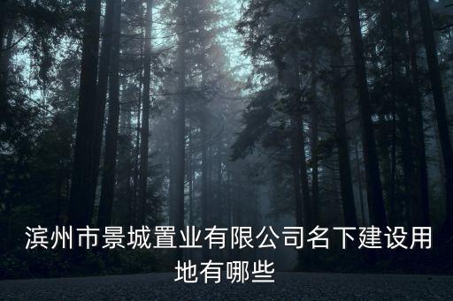  濱州市景城置業(yè)有限公司名下建設(shè)用地有哪些