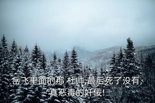 岳飛里面的那 杜帥,最后死了沒有,真惡毒的奸佞!