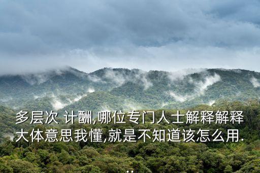 多層次 計酬,哪位專門人士解釋解釋大體意思我懂,就是不知道該怎么用...