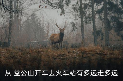 益公,益生菌的作用與功效