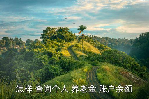 怎樣 查詢個(gè)人 養(yǎng)老金 賬戶余額