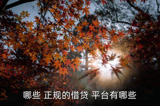 哪些 正規(guī)的借貸 平臺有哪些
