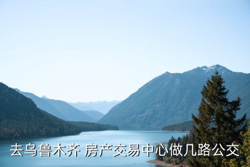 烏魯木齊市房產(chǎn)