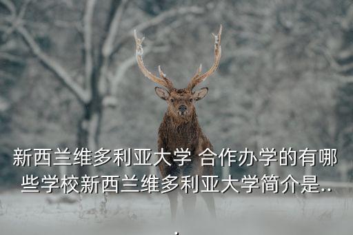 新西蘭維多利亞大學(xué) 合作辦學(xué)的有哪些學(xué)校新西蘭維多利亞大學(xué)簡介是...