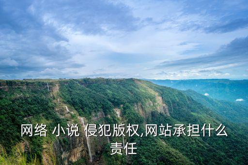 侵犯小說