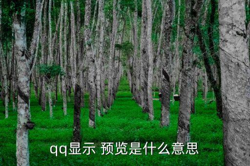 預(yù)覽什么意思,qq文件在線預(yù)覽什么意思