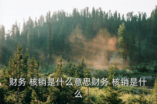 財(cái)務(wù) 核銷是什么意思財(cái)務(wù) 核銷是什么