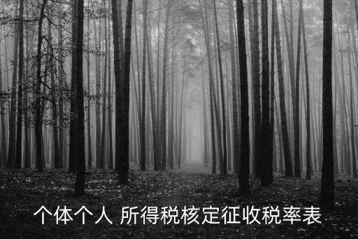 個(gè)體個(gè)人 所得稅核定征收稅率表