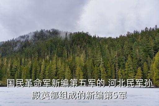 國民革命軍新編第五軍的 河北民軍孫殿英部組成的新編第5軍