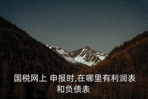  國稅網(wǎng)上 申報(bào)時(shí),在哪里有利潤表和負(fù)債表