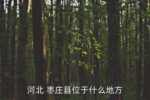 河北 棗莊縣位于什么地方