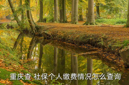  重慶查 社保個人繳費情況怎么查詢