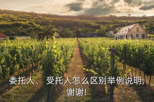 委托人、 受托人怎么區(qū)別舉例說明,謝謝!