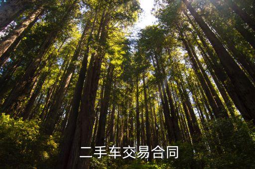  二手車交易合同