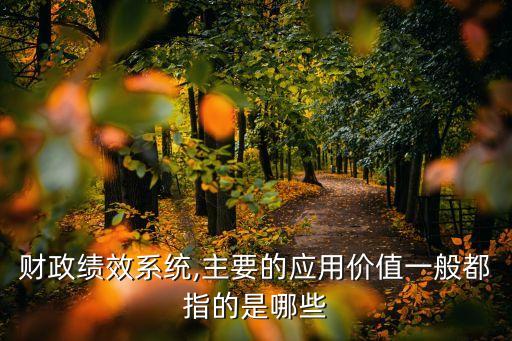 財(cái)政績效系統(tǒng),主要的應(yīng)用價(jià)值一般都指的是哪些