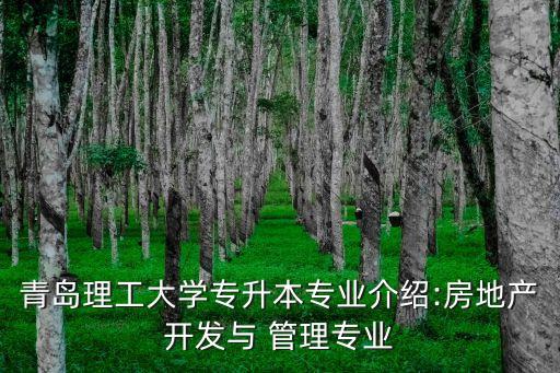 青島理工大學(xué)專升本專業(yè)介紹:房地產(chǎn)開發(fā)與 管理專業(yè)