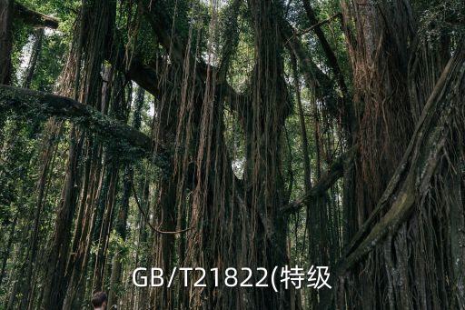 GB/T21822(特級(jí)