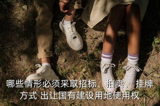 哪些情形必須采取招標(biāo)、拍賣(mài)、 掛牌方式 出讓國(guó)有建設(shè)用地使用權(quán)