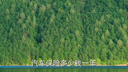 車險保費報價