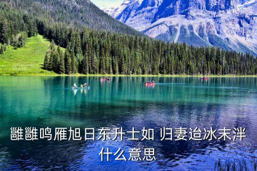 歸妻,歸期小說全文免費(fèi)閱讀