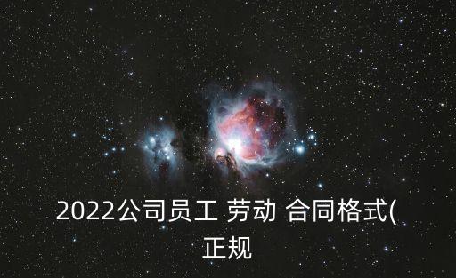 2022公司員工 勞動 合同格式(正規(guī)