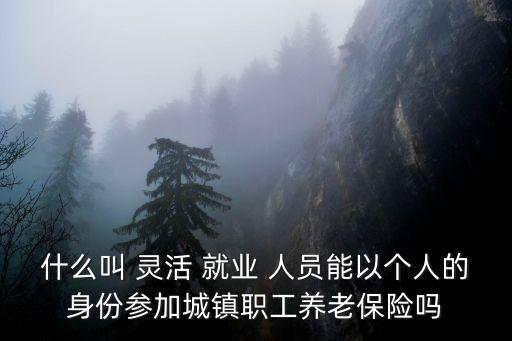 靈活就業(yè)人員
