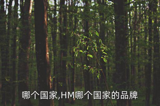hm哪個(gè)國(guó)家,HM哪個(gè)國(guó)家的品牌